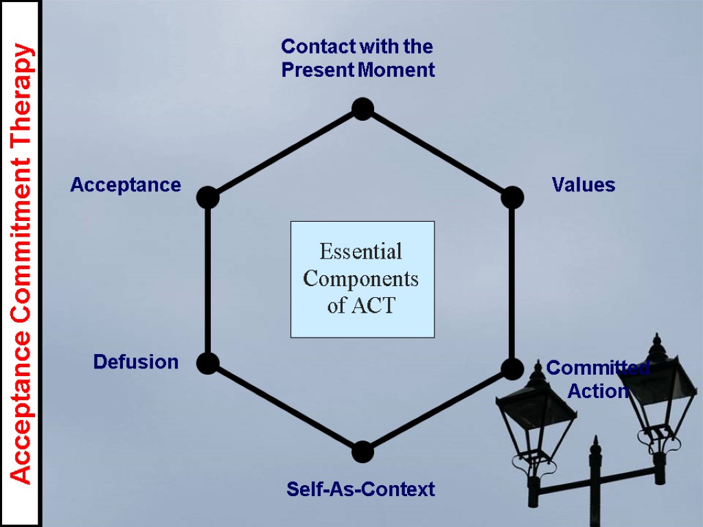 Acceptance Defusion Self-As-Context Contact with the Present Moment Values Committed Action Acceptance Commitment Therapy